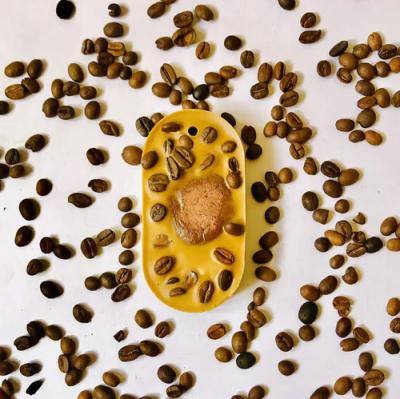 Coffee Seeds Infused Sandalwood &amp;amp; Vanilla Fragrance Oil Reusable Wardrobe Freshener